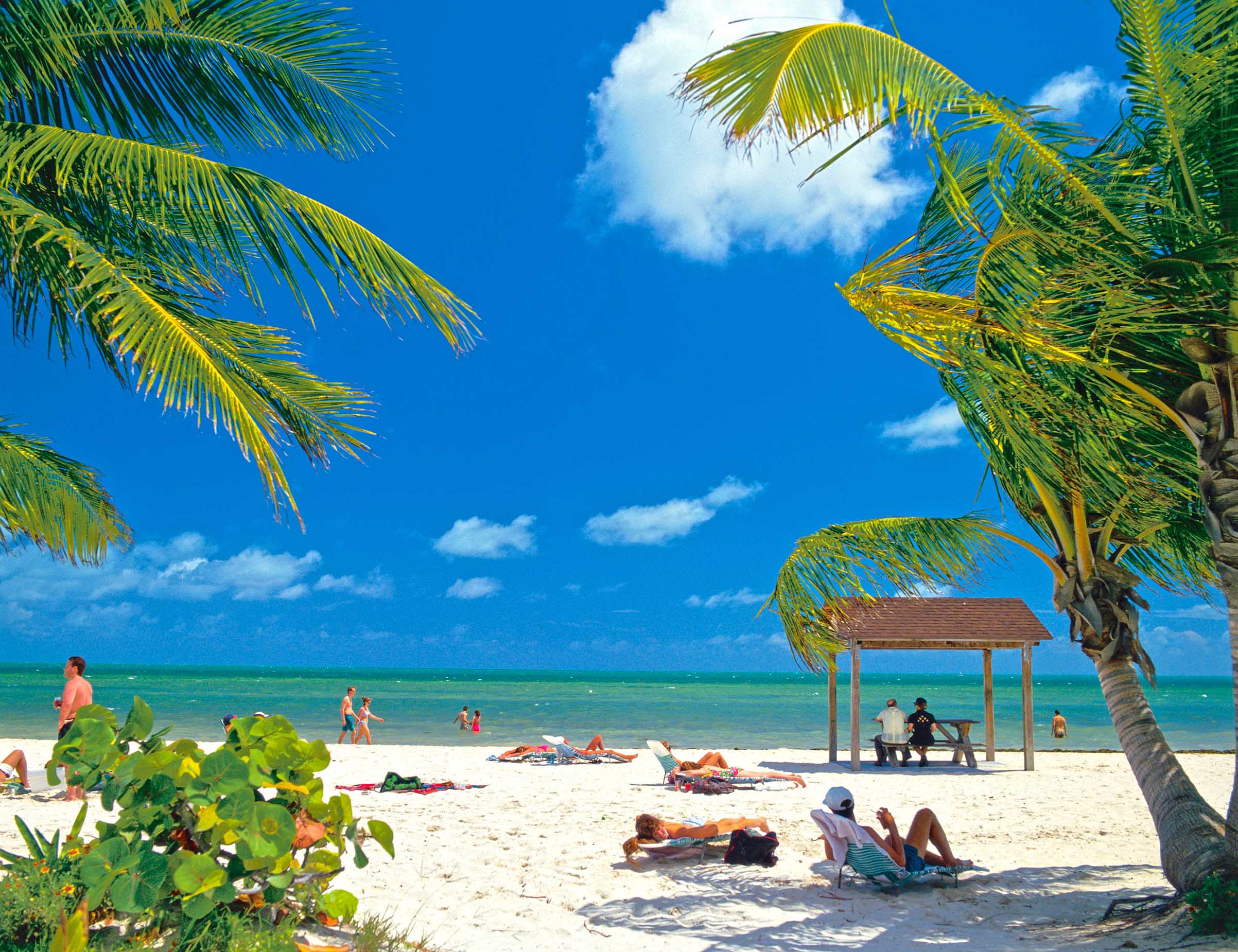 Toast Leer Hobby key west veranstaltungen 2017 Wettbewerbsfähig