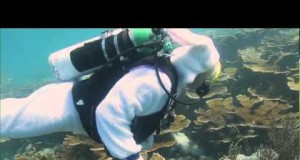 Ostereiersuche unter Wasser auf den Florida Keys