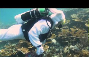 Ostereiersuche unter Wasser auf den Florida Keys