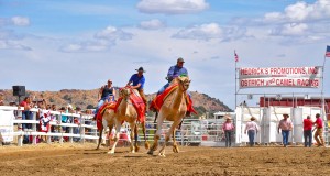 Nevada – Verrückt und Innovativ Virginia City Camel Races © Nevada Commission on Tourism
