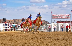 Nevada – Verrückt und Innovativ Virginia City Camel Races © Nevada Commission on Tourism