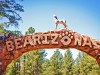 Die Bären sind los in Bearizona Bearizona (cc) Derek Bruff