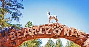 Die Bären sind los in Bearizona Bearizona (cc) Derek Bruff