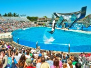 Neue Show in SeaWorld San Diego San Diego, SeaWorld (c) CALIFORNIA TOURISM