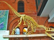 Die echte „Jurassic World“ in Utah Cleveland-Lloyd Dinosaur Quarry (cc) James St. John