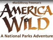 Brand USA: “ National Parks Adventure ”