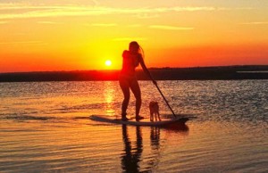 In North Carolina, wo das Herrchen Gast ist, ist der Hund König Emerald Isle (c) VisitNC.com