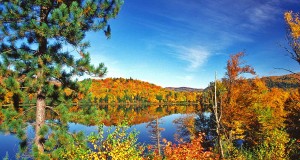 Farbenrausch beim Indian Summer in Québec Quebec (c) Tourisme Quebec / Gignac, Marcel