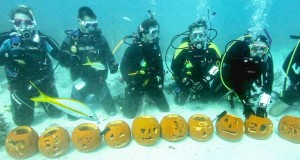 Kürbisschnitzen unter Wasser in den Florida Keys