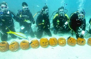 Kürbisschnitzen unter Wasser in den Florida Keys