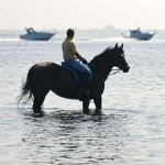 Jamaica Bay Riding Academy (c)  Mary Beth Brunner