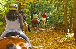 Queens, Brooklyn und die Bronx per Pferd entdecken Reiten in NYC (c) LYNNE'S RIDING CENTER