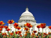 Phillips Collection in Washington DC mit neuer Ausstellung Washington DC (c) CapitalUSA