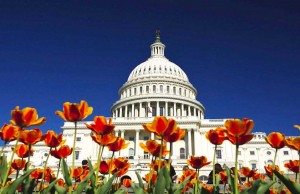 Phillips Collection in Washington DC mit neuer Ausstellung Washington DC (c) CapitalUSA