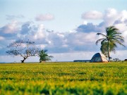 Dry Tortugas und Everglades auf den Florida Keys Everglades National Park (c) Visit Florida