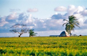 Dry Tortugas und Everglades auf den Florida Keys Everglades National Park (c) Visit Florida