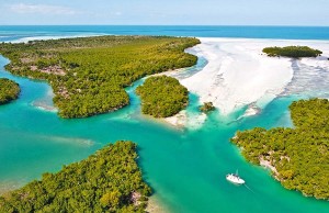 Florida Keys National Marine Sanctuary feiert 25-jähriges Bestehen Snipes Keys Florida Keys (c) Andy Newman, Florida Keys News Bureau