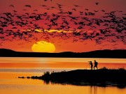 Spielwiese Saskatchewan – Provincial Park Hopping in der Prärie Buffalo Pound Provincial Park (c) Tourism Saskatchewan/Douglas E. Walker