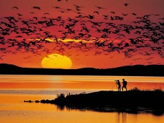 Spielwiese Saskatchewan – Provincial Park Hopping in der Prärie Buffalo Pound Provincial Park (c) Tourism Saskatchewan/Douglas E. Walker