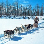 DogMushing (c)  Destination BC