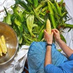 Just Right Farm (c) Just Right Farm