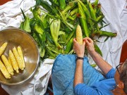 Neuengland: Bewusst & regional lautet die Devise der Köche