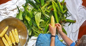 Neuengland: Bewusst & regional lautet die Devise der Köche