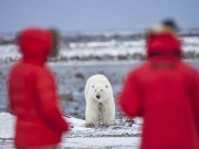 Arktisabenteuer in Nunavut: 10 Dinge die Sie wissen müssen Nunavut (c) CTC