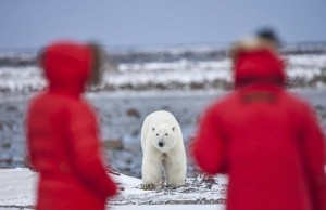 Arktisabenteuer in Nunavut: 10 Dinge die Sie wissen müssen Nunavut (c) CTC