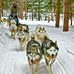 Hundeschlitten-Tour (c)  Tourisme Quebec