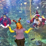 Diving Santa (c) Seattle Aquarium