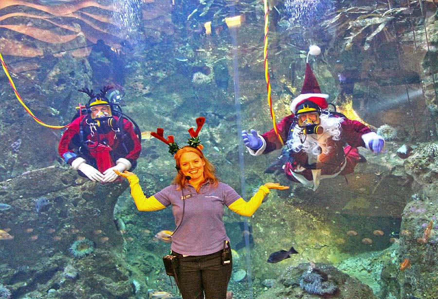 Diving Santa (c) Seattle Aquarium