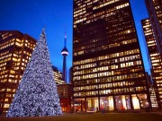„Und was macht ihr an Weihnachten?“ – Toronto!