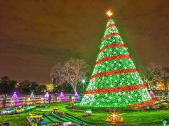 Weihnachten in Washington DC und Umgebung National Xmas Tree Washington DC (cc) Anthony Quintano;