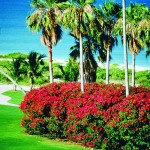 Golf Course (c) Visit Florida