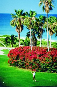 Golf Course (c) Visit Florida
