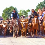 Caldwell Kansas Cattle Drive (c) Kansas Toursim