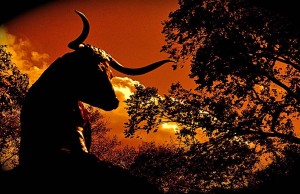 150 Jahre Chisholm Trail in Kansas & Oklahoma Chisholm Trail (cc) JD Hancock