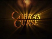 Neue Achterbahn in Busch Gardens, Florida