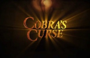 Neue Achterbahn in Busch Gardens, Florida