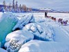 Dogmushing in Fairbanks, Alaska