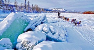 Dogmushing in Fairbanks, Alaska