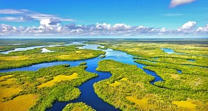 Miamis Nationalparks feiern 100. Geburtstag Florida Everglades (c) Visit Florida