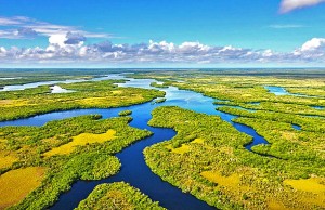 Miamis Nationalparks feiern 100. Geburtstag Florida Everglades (c) Visit Florida