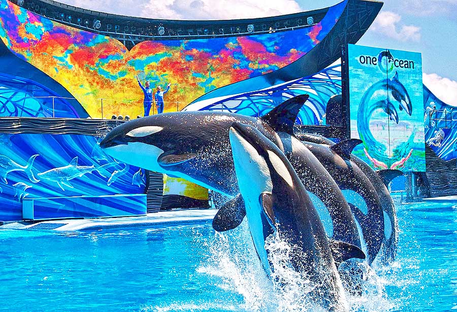 SeaWorld Orlando - One Ocean Show (c) SeaWorld Parks & Entertainment
