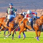 Polo  (c) Scottsdale CVB