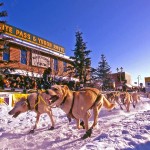 Yukon Quest (c) Yukon Tourism