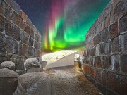 RAW:churchill und RAW:almond in Manitoba RAW:churchill (c) FRONTIERS NORTH ADVENTURES INC.