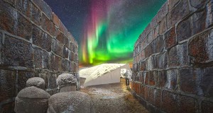 RAW:churchill und RAW:almond in Manitoba RAW:churchill (c) FRONTIERS NORTH ADVENTURES INC.