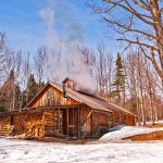 Maple (c) Vermont Tourism